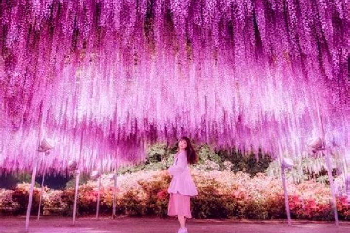 Eva, 33 — Escort in Ashikaga, Japan