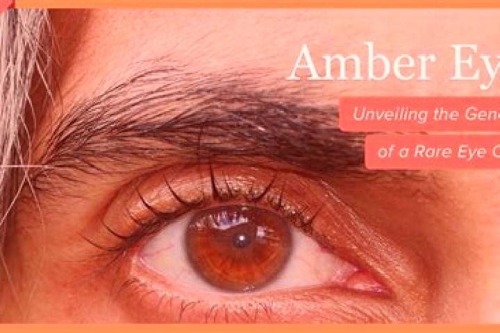 Eva, 34, a black amber-eyed european companion based in Tamoyon I. Offering Duos, Domination. Available for incall and outcall, day and evening dates.