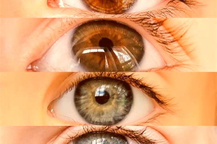 Eva, 34, a chestnut dark-eyed middle eastern companion based in Cehovice. Offering CIM, Duos, Massage, Fetish. Available for incall and outcall, day and even...