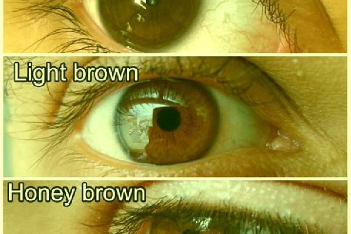 Eva, 35, a chestnut amber-eyed slavic companion based in Amfikleia. Offering Massage, Tantra. Available for incall and outcall, day and evening dates.