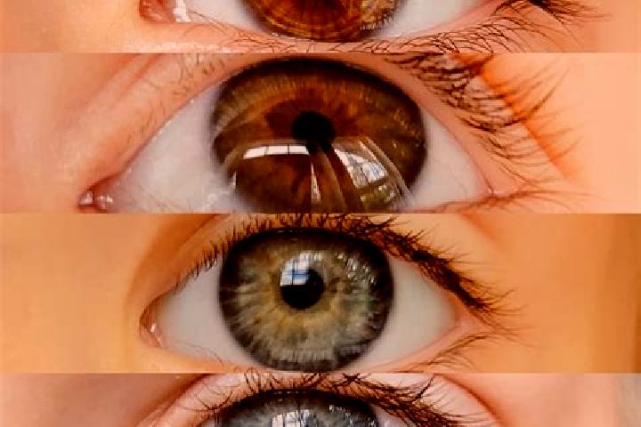 Eva, 35, a chestnut grey-eyed middle eastern companion based in Bastan. Offering Prostate Massage, OWO, Roleplay. Available for incall and outcall, day and e...