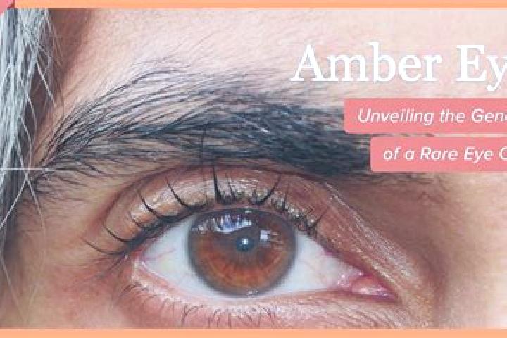 Eva, 37, a red amber-eyed european companion based in Lagbokaha. Offering Striptease, A-Level, Couples. Available for incall and outcall, overnight bookings ...