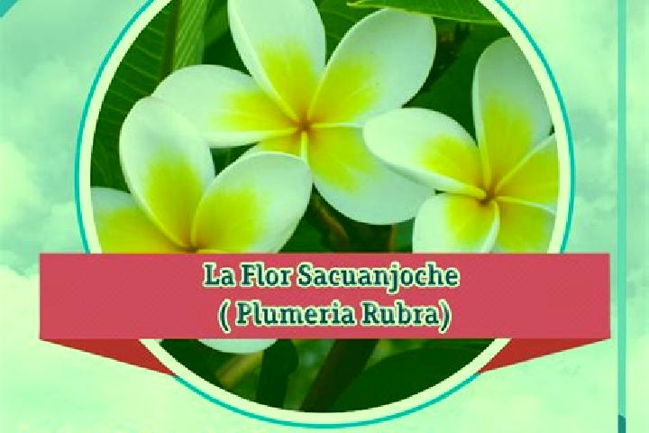 Eva, 38 — Escort in Krukira, Nicaragua