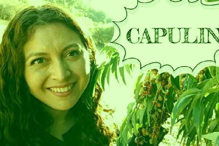 Eva, 39 — Escort in Capulin de Bustos, Mexico