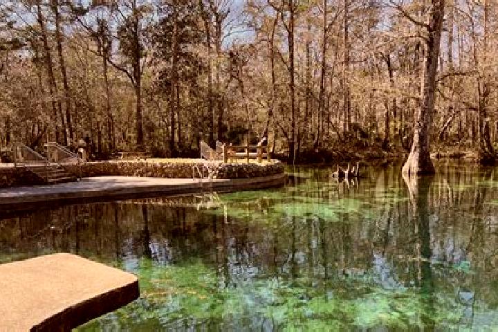 Eva, 39 — Escort in De Leon Springs, United States