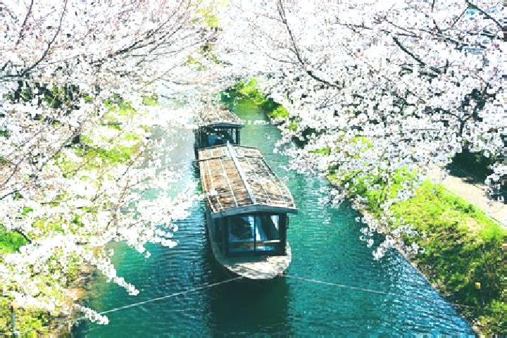 Eva, 39 — Escort in Iijima, Japan