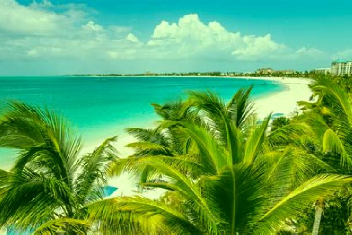 Eva, 39 — Escort in Kew, Turks and Caicos Islands