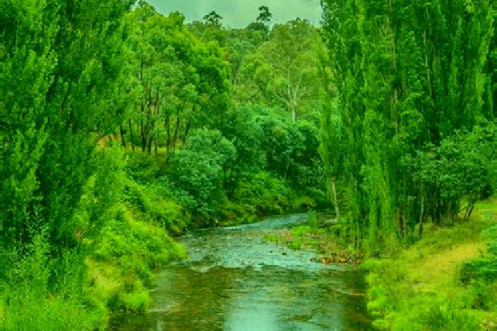 Eva, 39 — Escort in Mountain River, Australia