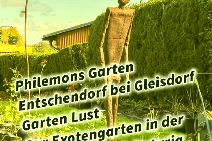 Evelyn, 20 — Escort in Entschendorf bei Gleisdorf, Austria