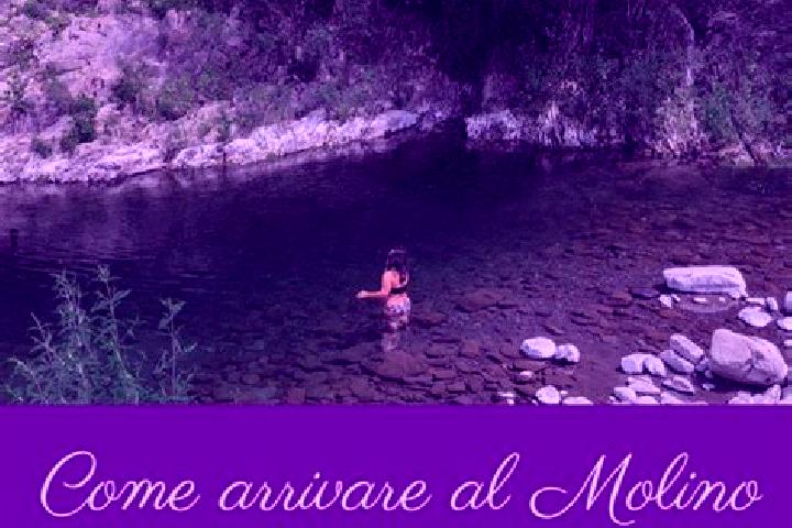Evelyn, 20 — Escort in Molino del Pallone, Italy