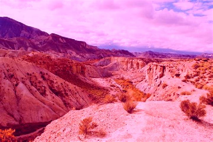 Evelyn, 20 — Escort in Tabernas, Spain