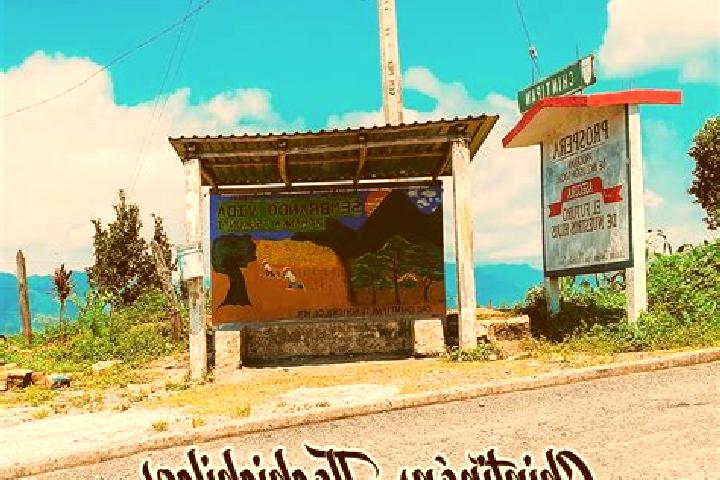 Evelyn, 20 — Escort in Tlachichilco, Mexico