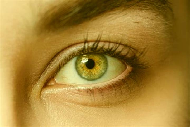 Evelyn, 21, a black hazel-eyed mixed companion based in Zafarwal. Offering A-Level, Fetish, Erotic Massage, Dinner Date, Domination. Available for incall and...