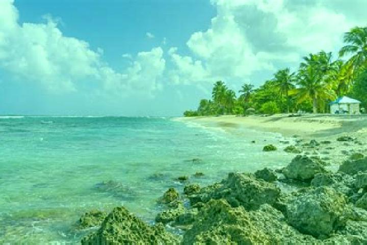 Evelyn, 21 — Escort in Anse-Bertrand, Guadeloupe