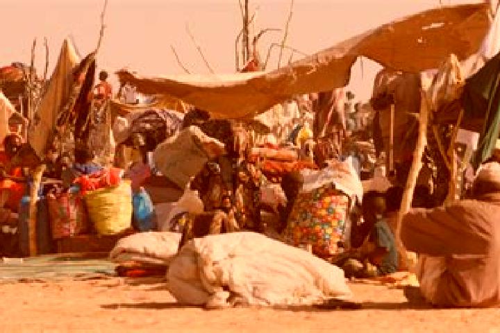 Evelyn, 21 — Escort in Mellit, Sudan
