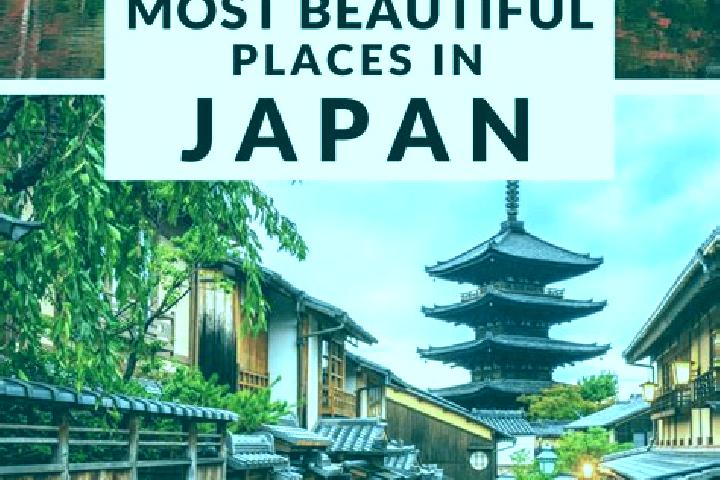 Evelyn, 21 — Escort in Negishicho, Japan
