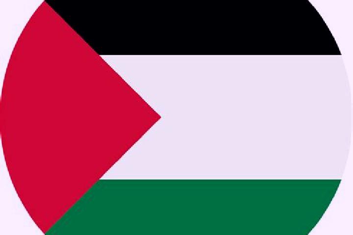 Evelyn, 21 — Escort in Ramin, Palestine