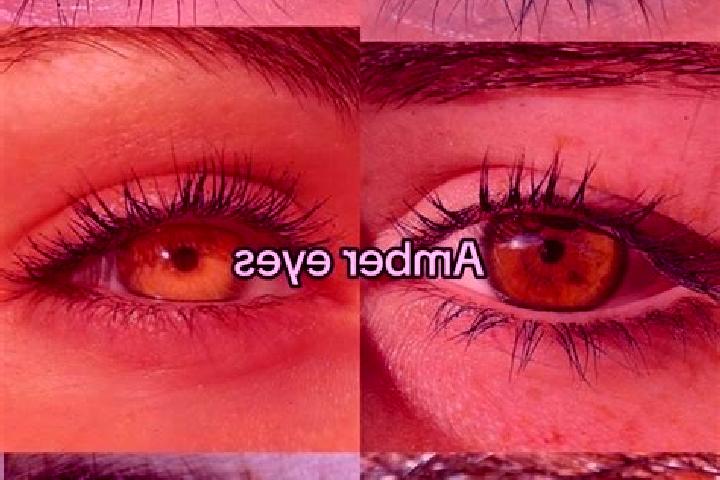 Evelyn, 22, a brunette amber-eyed middle eastern companion based in Ressaix. Offering Domination, GFE, OWO, CIM, Striptease. Available for incall and outcall...