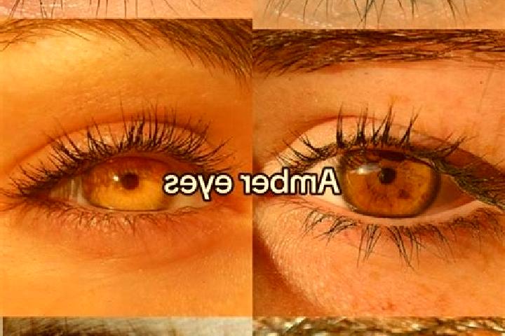Evelyn, 22, a brunette amber-eyed middle eastern companion based in Rochefort-Samson. Offering Duos, Tantra, BDSM. Available for incall and outcall, day and ...