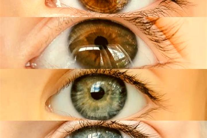 Evelyn, 22, a chestnut dark-eyed mixed companion based in Leudeville. Offering BDSM, Domination, Striptease. Available for incall and outcall, overnight book...