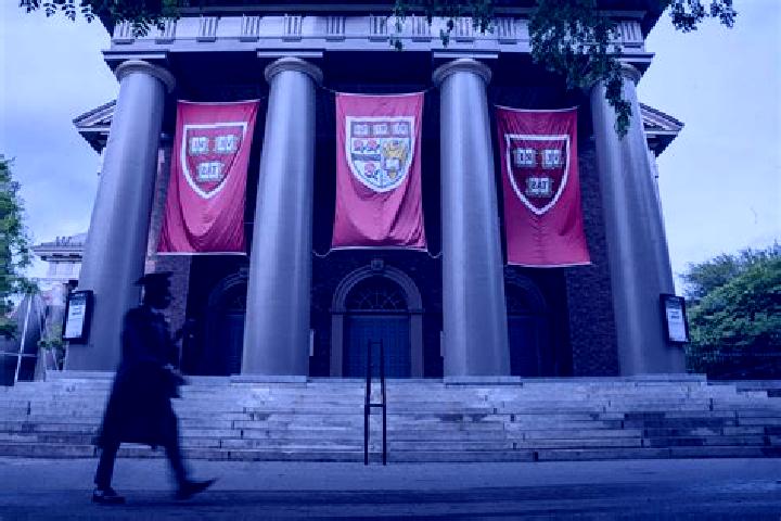 Evelyn, 22 — Escort in Harvard, United States