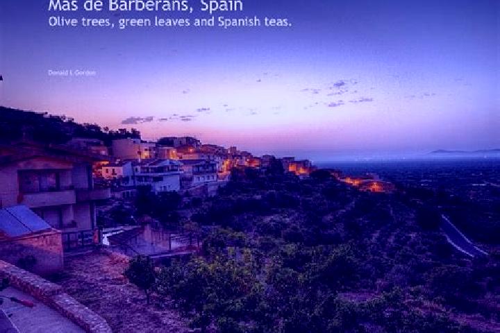 Evelyn, 22 — Escort in Mas de Barberans, Spain