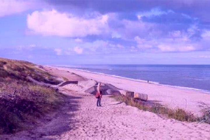 Evelyn, 22 — Escort in Solrod Strand, Denmark