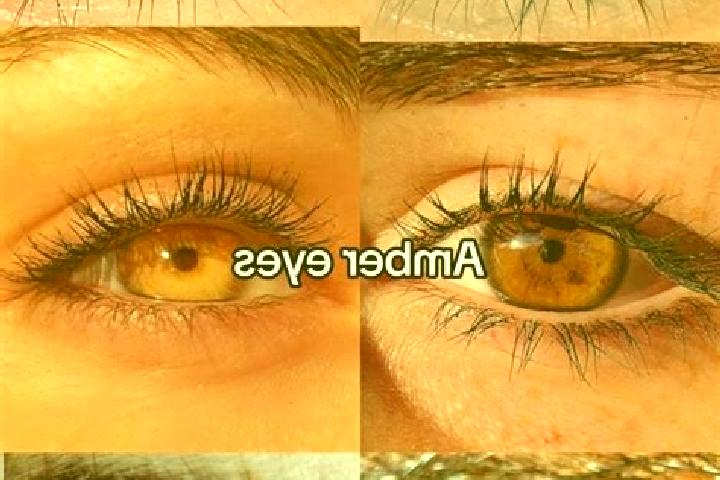Evelyn, 23, a chestnut amber-eyed european companion based in Surani. Offering Prostate Massage, Overnight, Deep French Kissing, Couples. Available for incal...