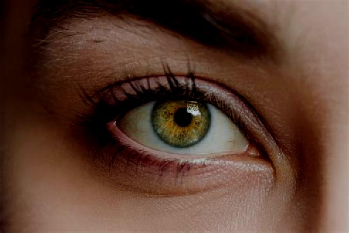 Evelyn, 23, a chestnut hazel-eyed mixed companion based in Melderslo. Offering Erotic Massage, Couples, GFE. Available for incall and outcall, overnight book...