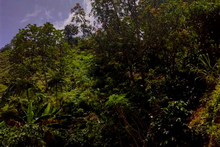 Evelyn, 23 — Escort in Adjuntas, Puerto Rico
