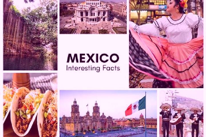 Evelyn, 23 — Escort in El Tzay, Mexico