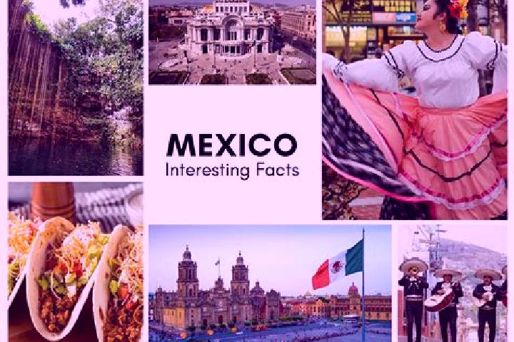 Evelyn, 23 — Escort in Macvilho, Mexico
