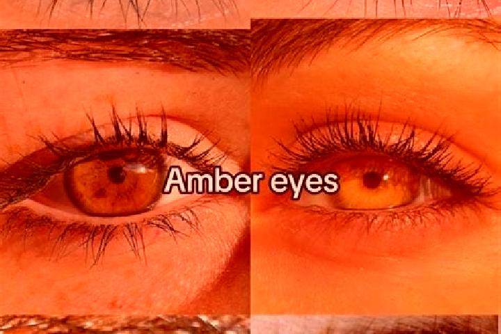 Evelyn, 24, a brunette amber-eyed mixed companion based in Pleinfeld. Offering Party Girl, OWO, Massage. Available for incall and outcall, day and evening da...