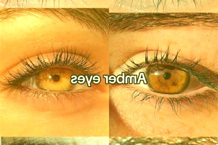Evelyn, 24, a chestnut amber-eyed latina companion based in Regensdorf / Feldblumen-Riedthofstrasse. Offering CIM, Girlfriend Experience, Couples, Erotic Mas...