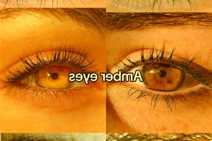 Evelyn, 24, a chestnut amber-eyed middle eastern companion based in Kelty. Offering Domination, Tantra, A-Level. Available for incall and outcall, day and ev...
