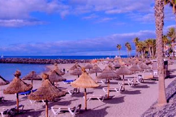 Evelyn, 24, a chestnut blue-eyed slavic companion based in Playa de las Americas. Offering Massage, Tantra, Overnight. Available for incall and outcall, over...