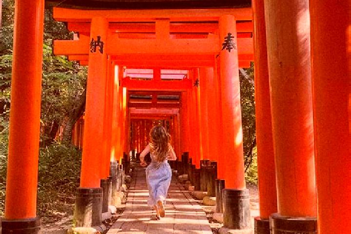 Evelyn, 24, a red blue-eyed asian companion based in Fushimi. Offering Party Girl, A-Level, Overnight, Massage, Tantra. Available for incall and outcall, ove...