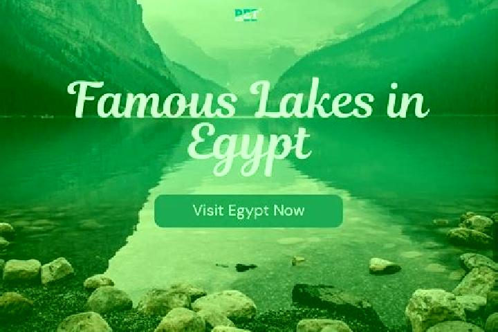 Evelyn, 24 — Escort in Al Badrashayn, Egypt