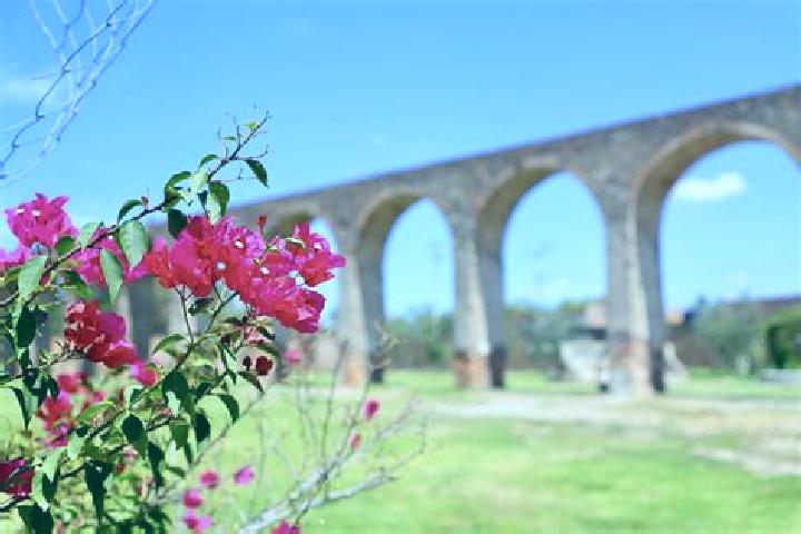 Evelyn, 25 — Escort in El Saucillo de Primavera, Mexico