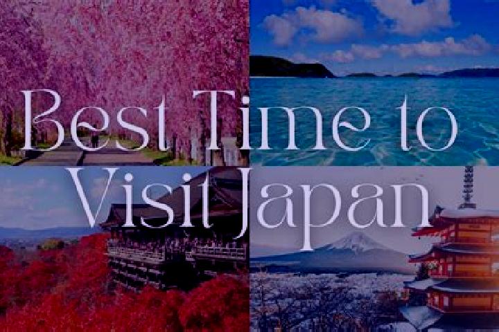 Evelyn, 25 — Escort in Koumibara, Japan