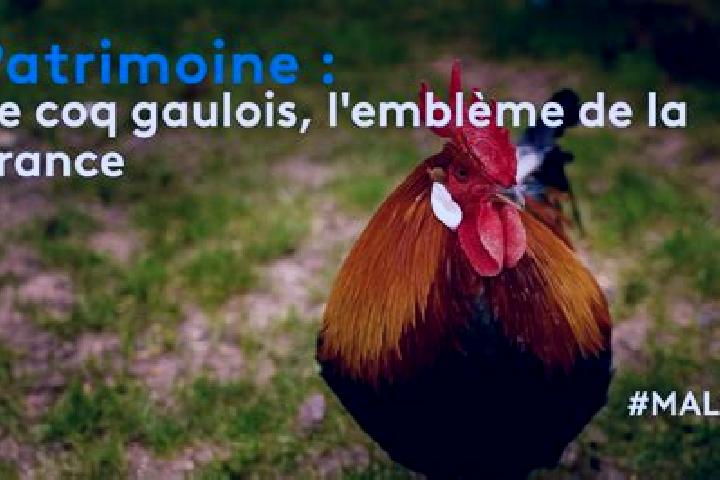 Evelyn, 25 — Escort in Landes-le-Gaulois, France
