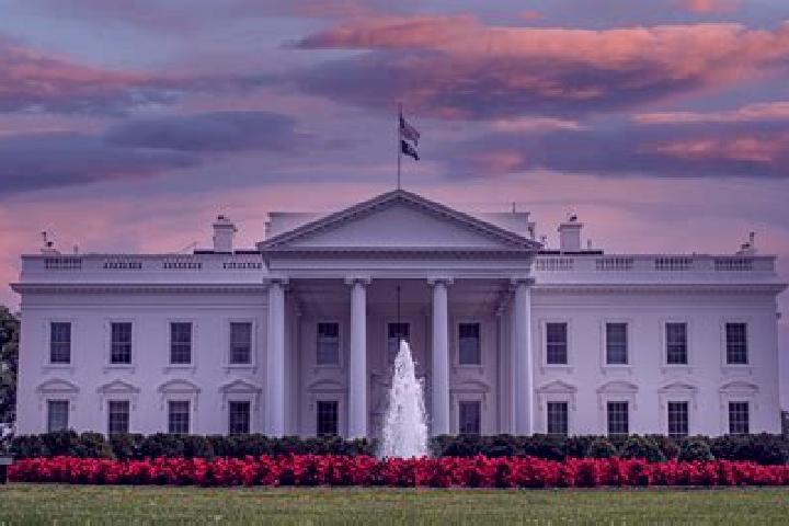 Evelyn, 25 — Escort in Whitehouse, United States