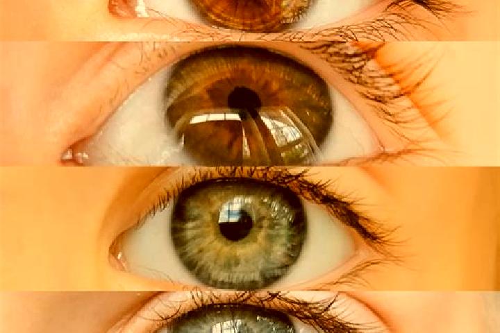 Evelyn, 26, a chestnut amber-eyed mixed companion based in Sao Pedro da Agua Branca. Offering BDSM, Prostate Massage, Tantra, Erotic Massage. Available for i...
