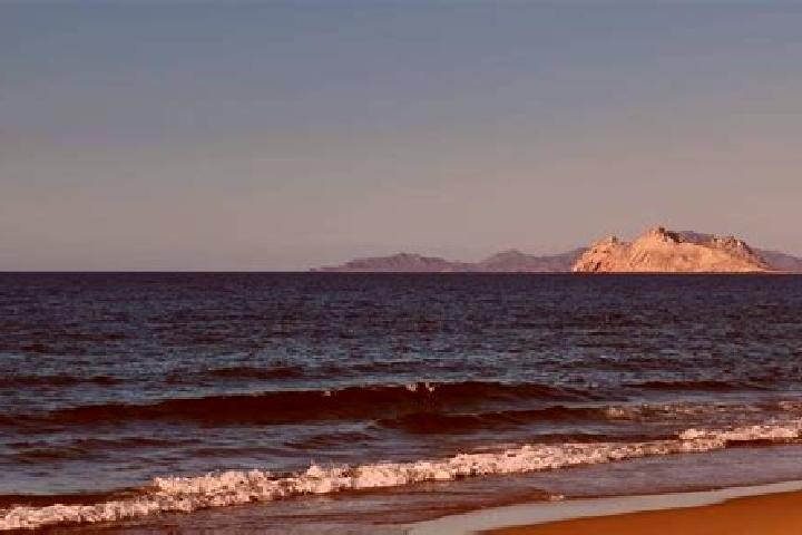Evelyn, 26 — Escort in Bahia de Kino, Mexico