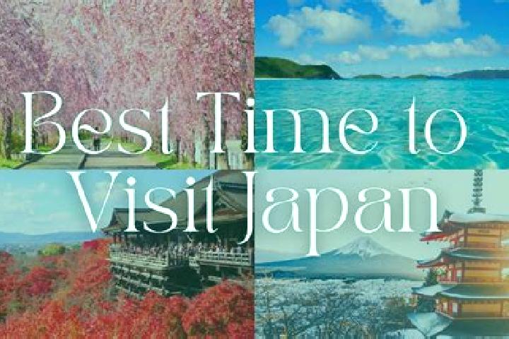 Evelyn, 26 — Escort in Kamitosa, Japan
