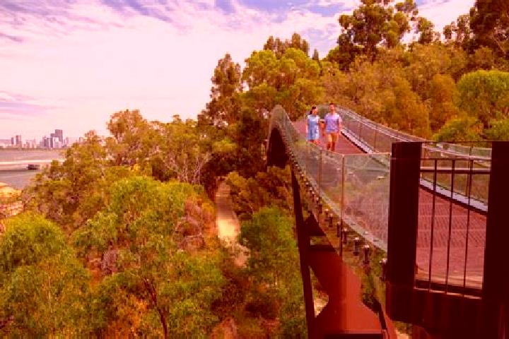 Evelyn, 26 — Escort in Kings Park, Australia