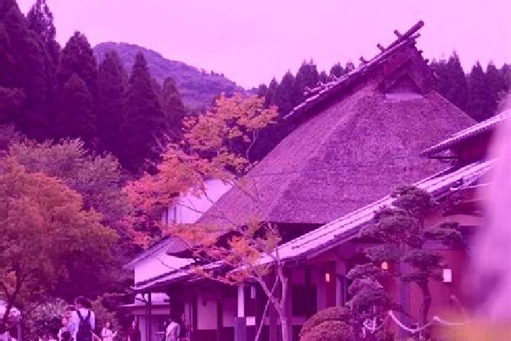 Evelyn, 26 — Escort in Koishiwara, Japan