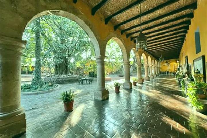 Evelyn, 27 — Escort in Bosques de la Hacienda, Mexico