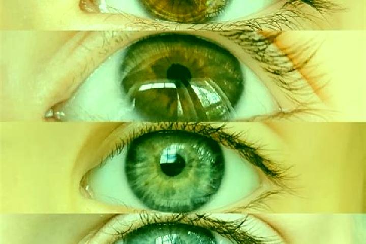 Evelyn, 28, a chestnut dark-eyed mixed companion based in Vaadhoo. Offering BDSM, Fetish, Prostate Massage. Available for incall and outcall, day and evening...