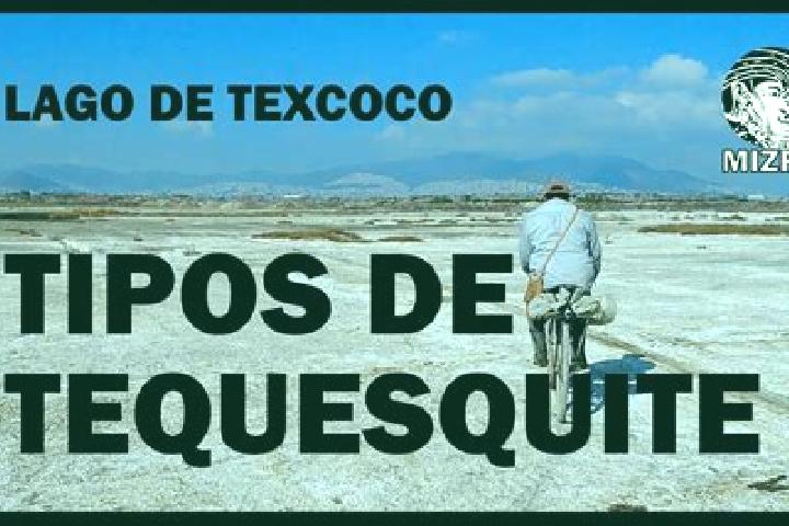 Evelyn, 28 — Escort in El Tequesquite, Mexico